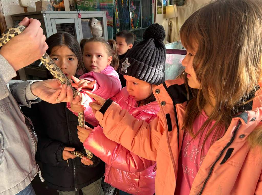 Winter School District