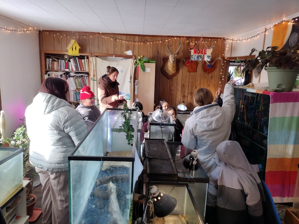 Winter School District