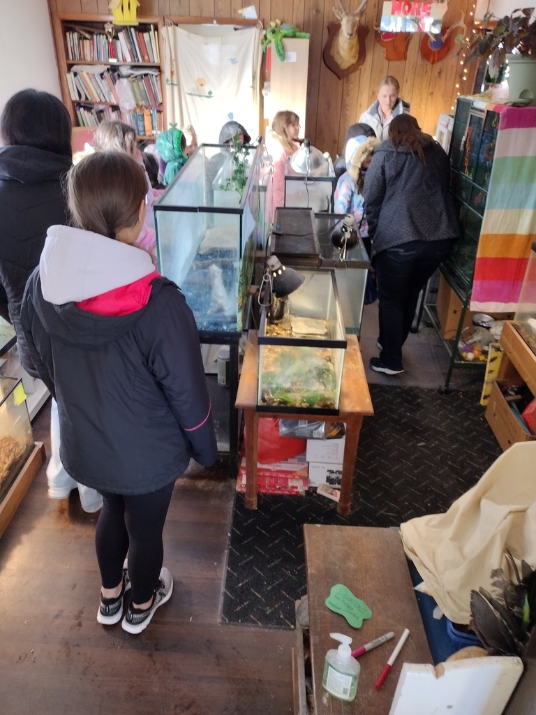 Winter School District