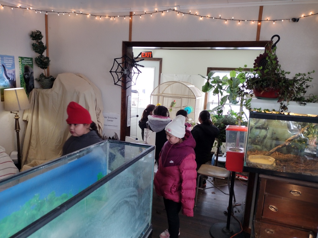 Winter School District