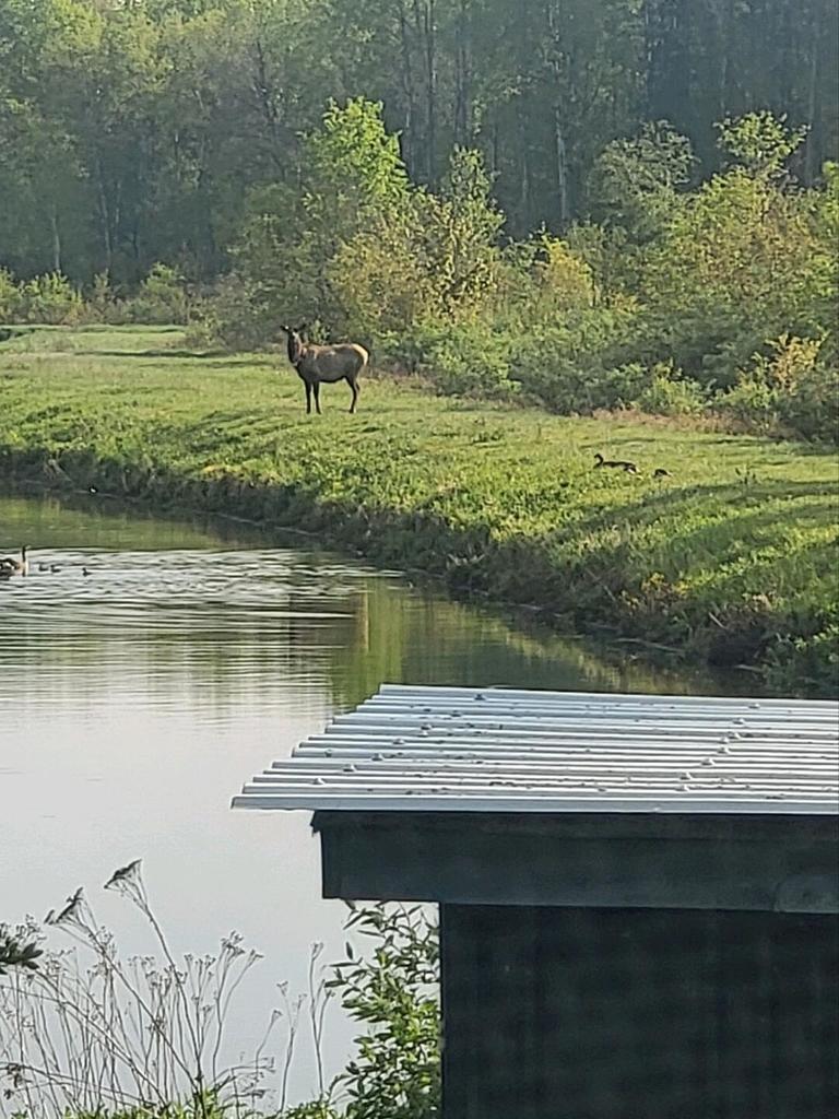 Winter School District