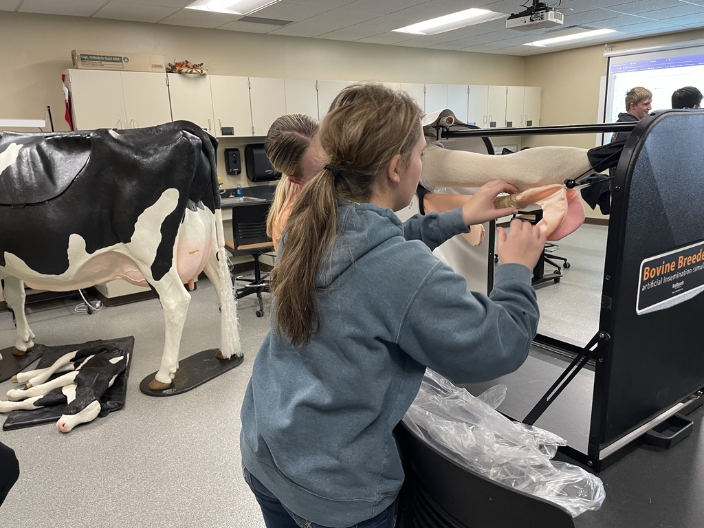 Winter School District