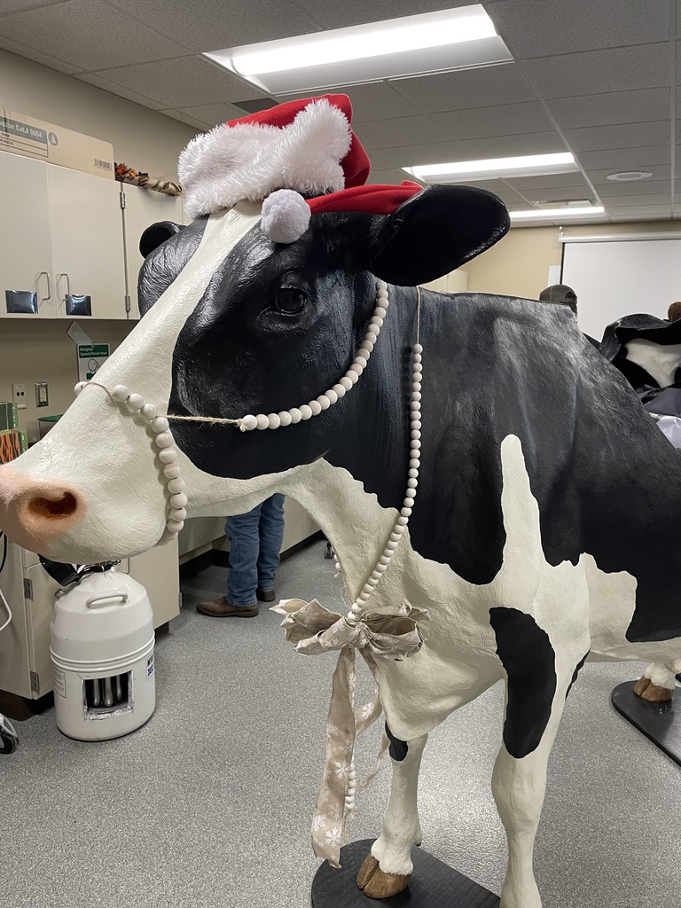 Winter School District