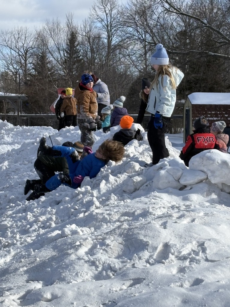 Winter School District