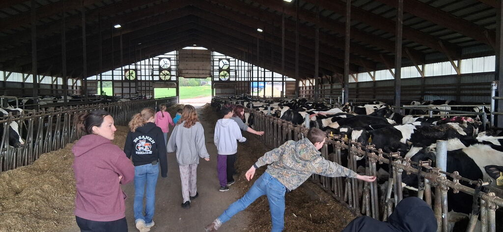 Farm 1