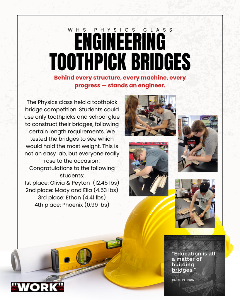 HS Physics Toothpick Bridges