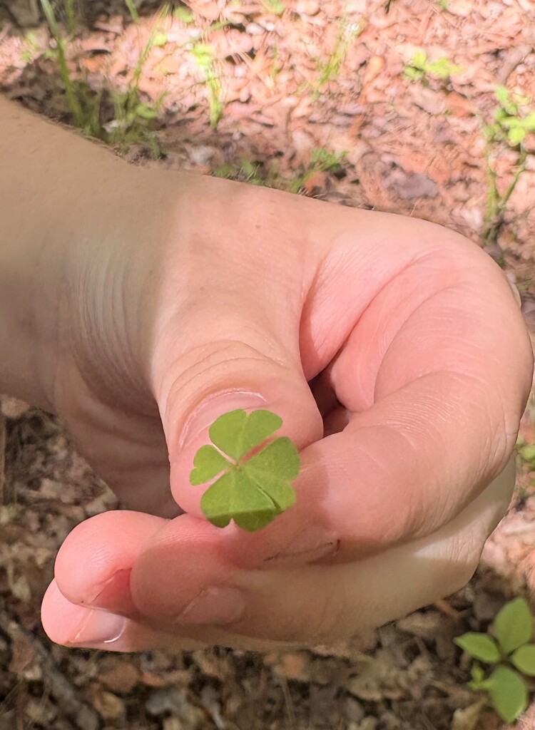 4-Leaf Clover