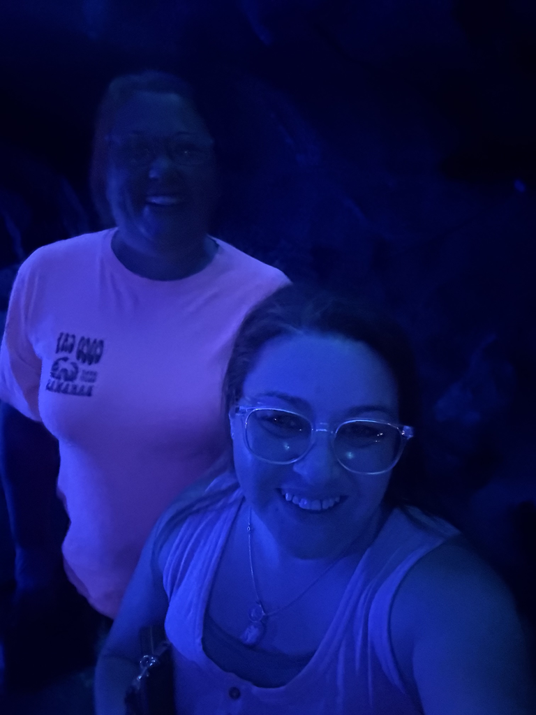 Skills Chaperones 