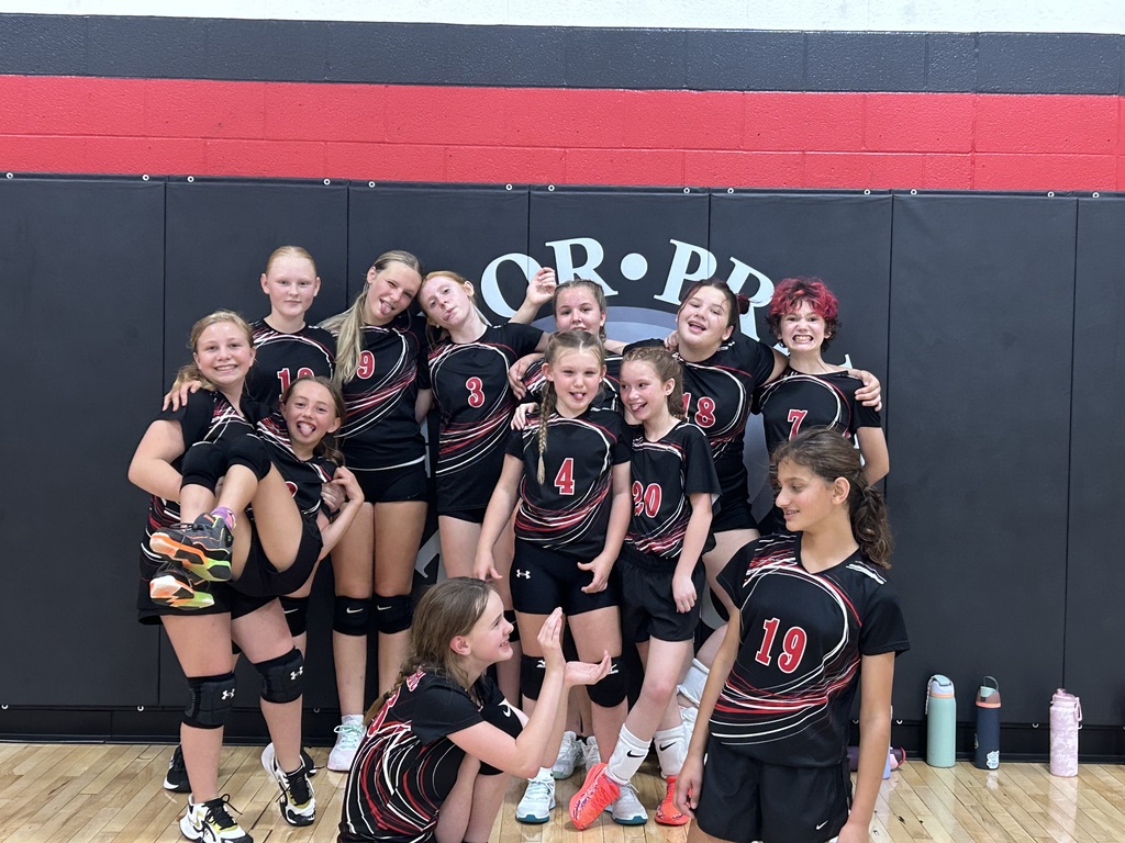 MSVB Fun