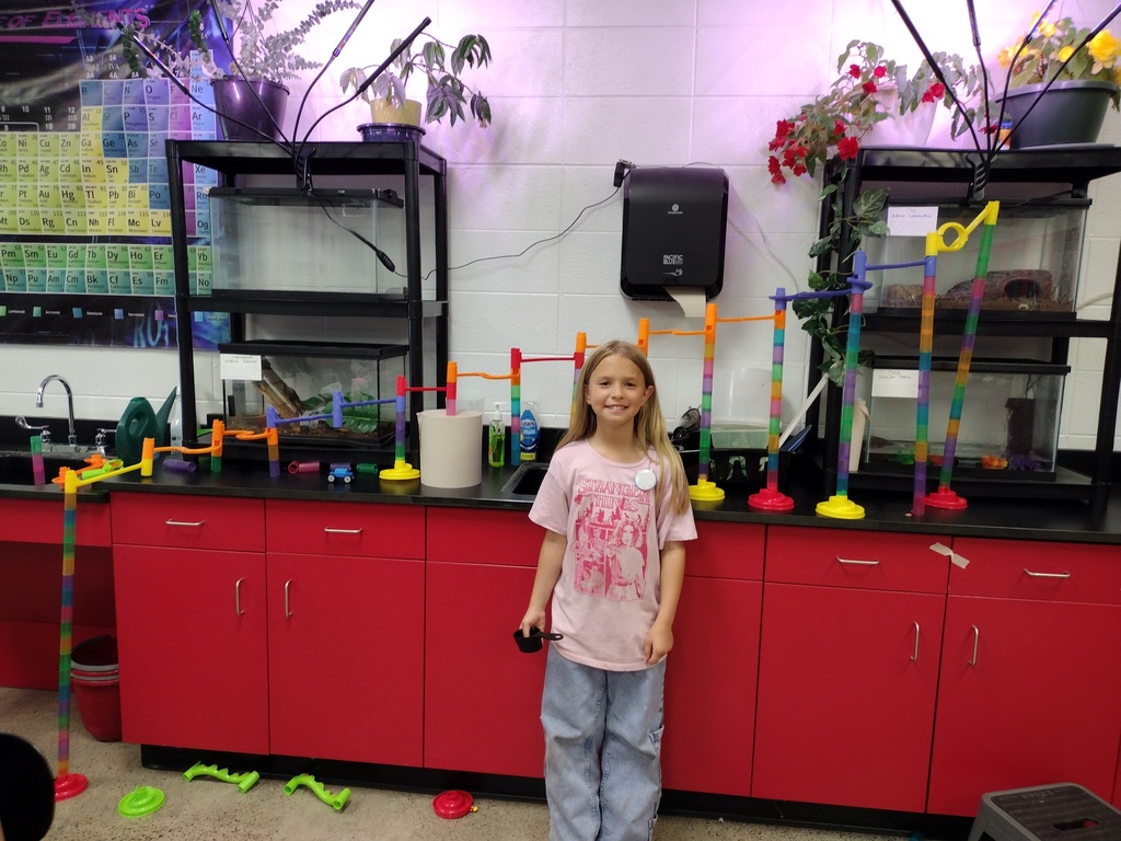 Marble Run in WORK Club