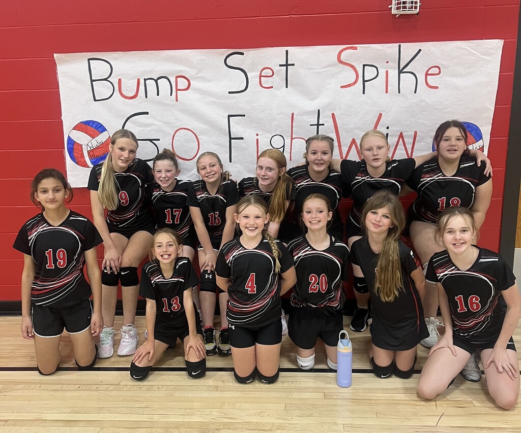 MSVB Team with Poster