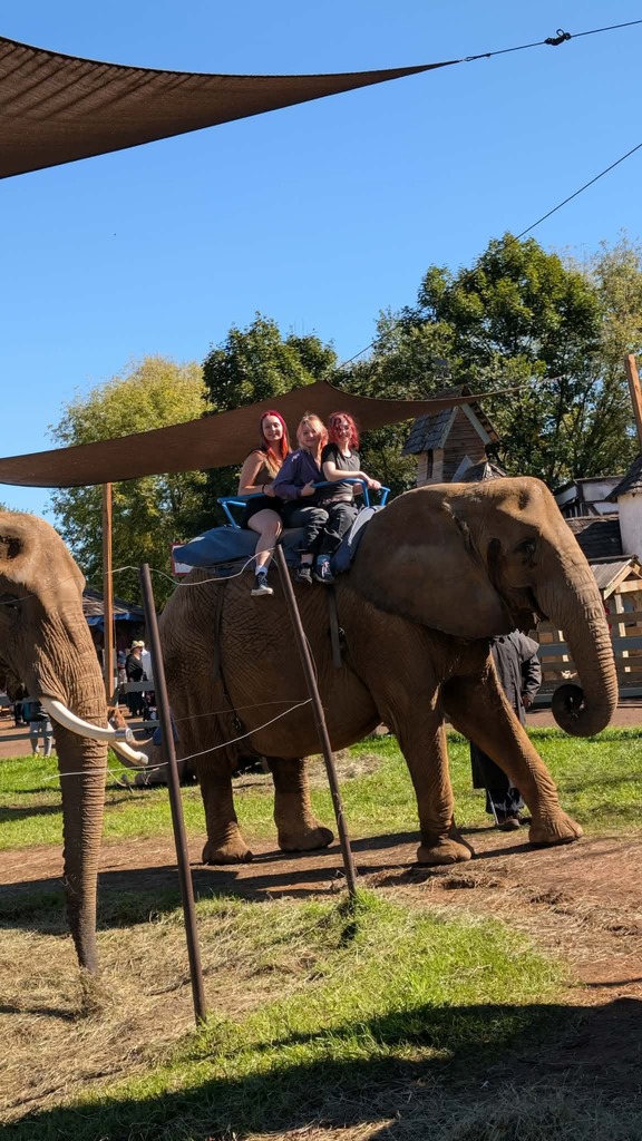 Elephants at the Renaissance Fair