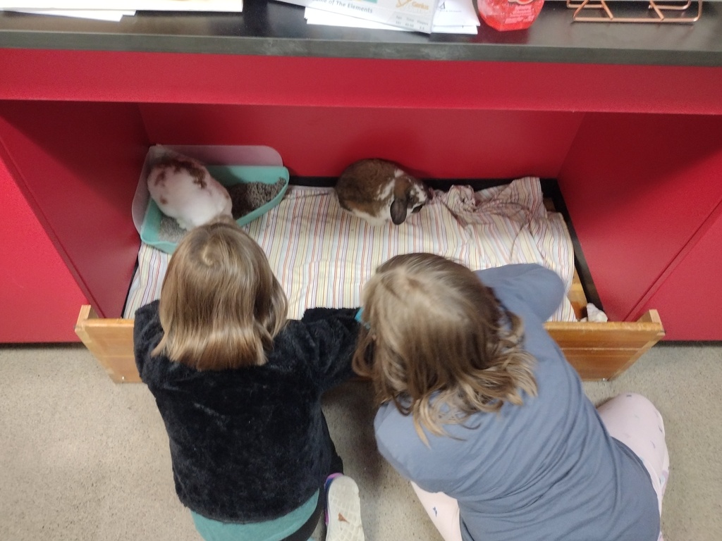 Science Club Students