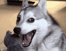 smile-excited