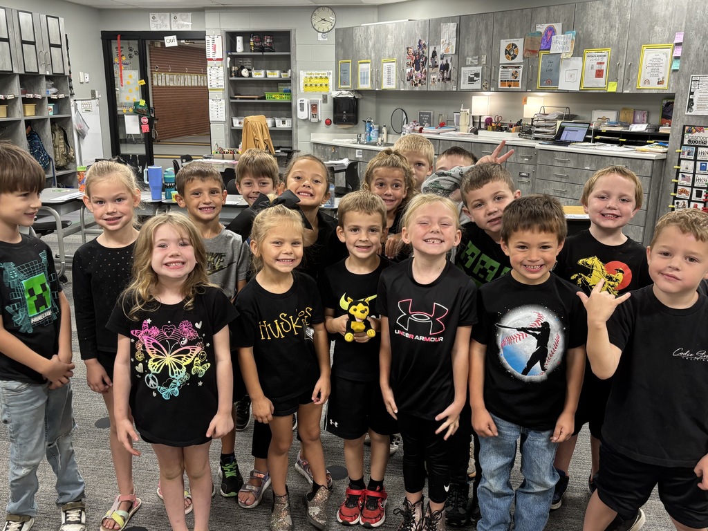 Hoco Black K-3