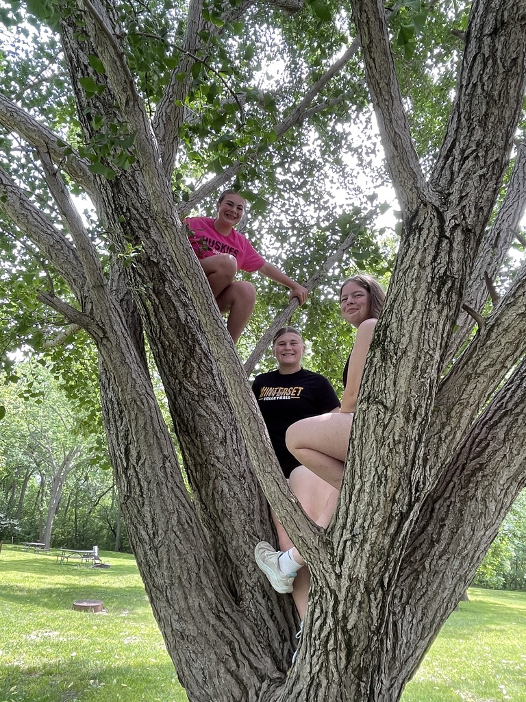 park4