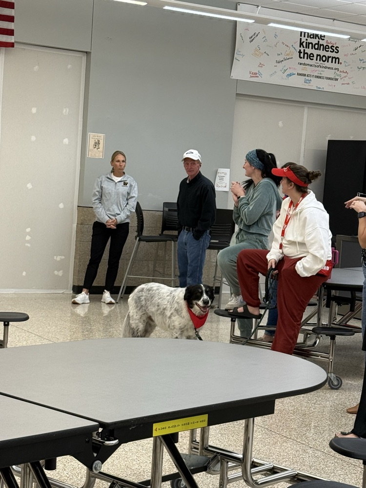 Indoor area with tables and chairs, a dog, and several people standing or sitting. One person is clapping.