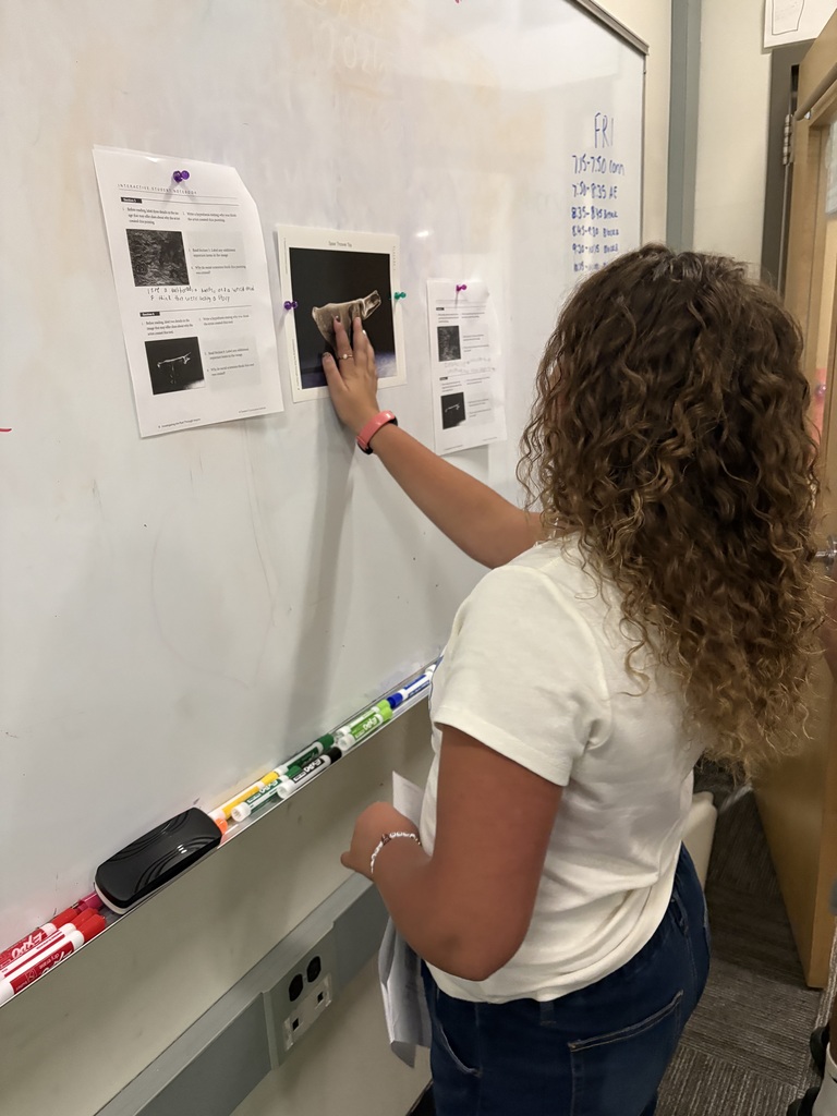 student looking at picture of cave painting
