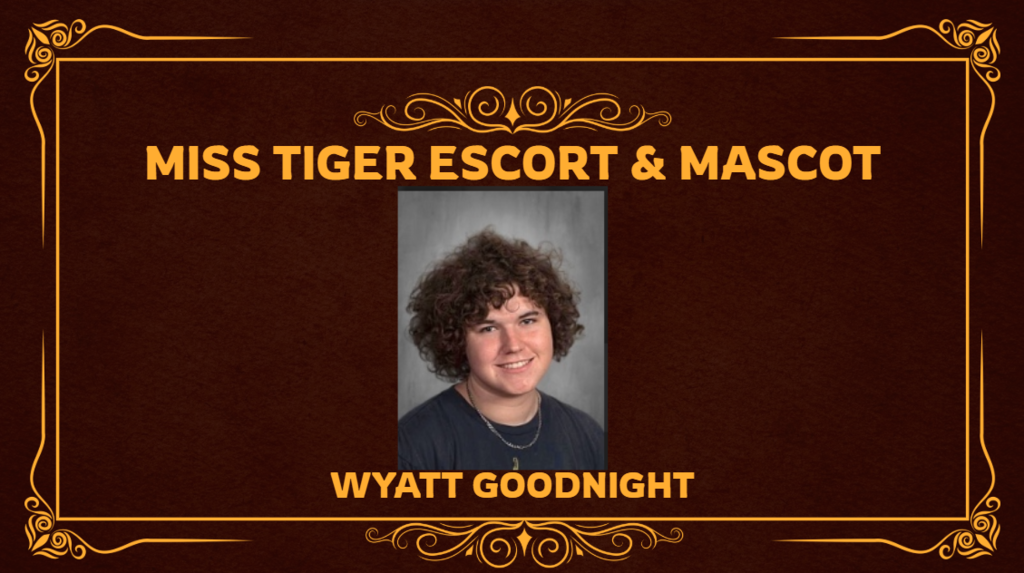 MISS TIGER ESCORT