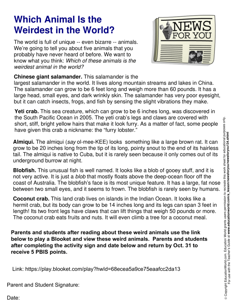 Which Animal is the Weirdest in the World