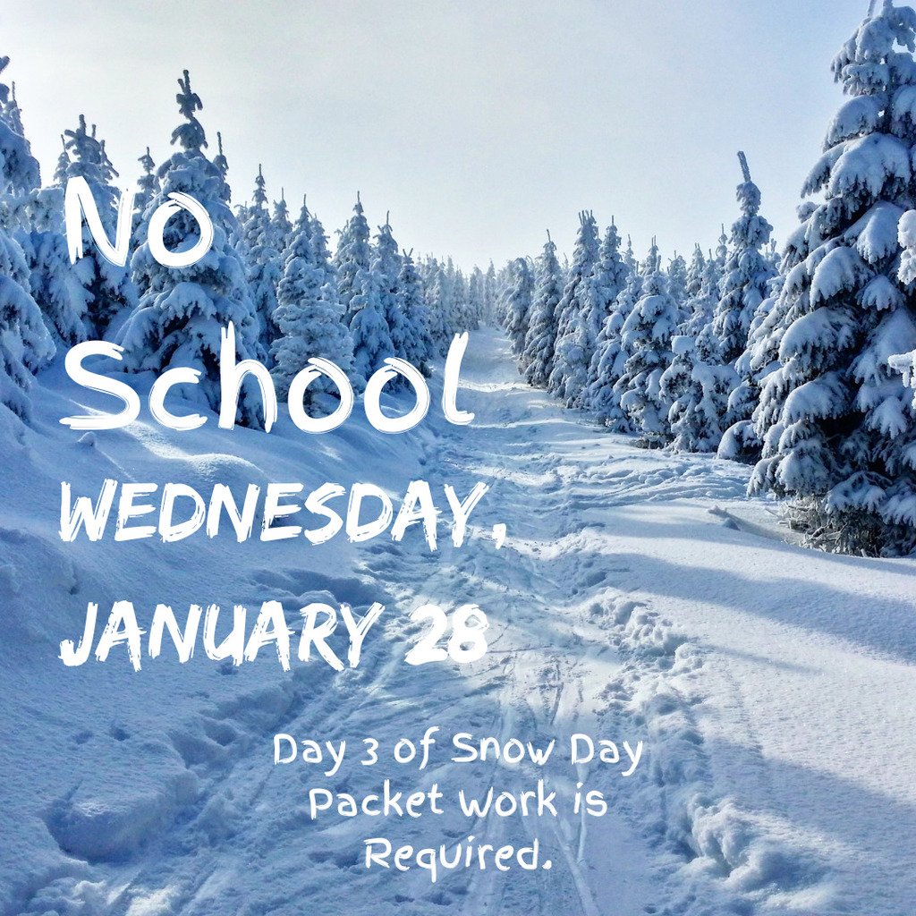 no school January 28 image of snowy woods