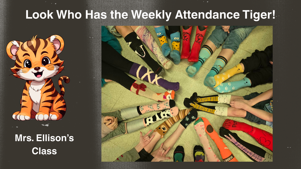 A graphic with a dark textured background featuring a cartoon tiger cub on the left side next to the text “Mrs. Ellison’s Class.” At the top, large white text reads “Look Who Has the Weekly Attendance Tiger!” On the right side is a photo showing a circle of students’ legs and feet extended toward the center. The students are wearing a variety of colorful and patterned socks, including stripes, animals, and bright designs, as part of a crazy socks activity for Reading Week.