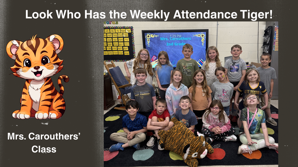 A group of elementary students pose together in a classroom with a stuffed tiger mascot placed on the floor in front of them. A classroom display behind the students references the weekly attendance tiger, and a cartoon tiger graphic appears alongside the photo.