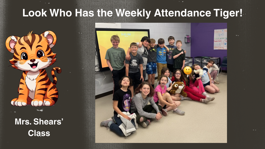 Graphic announcing “Look Who Has the Weekly Attendance Tiger.” A group of elementary students pose together in a classroom around a small stuffed tiger mascot. On the left side of the image is a cartoon tiger illustration, and text reads “Mrs. Shears’ Class.” A classroom display screen is visible in the background.