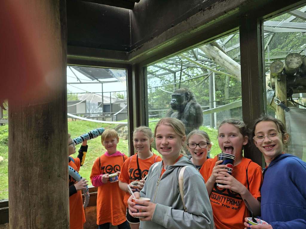 Group of elementary school students wearing matching orange zoo field trip shirts stand inside a viewing area at a zoo exhibit. Several students hold cups of food or snacks while posing near large glass windows. Outside the glass, a gorilla stands in an enclosed habitat with grass, climbing structures, and netted fencing in the background.