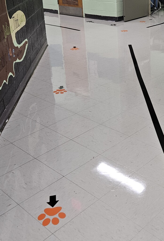 Photos inside Wirt County Primary Center showing new decorations added during the summer. Images include orange and black tiger paw prints painted on floors and walls, tiger-themed murals and artwork throughout the building, a "Choose K_nd" mural with the letter "i" intentionally omitted, and tiger images displayed in the cafeteria. The colorful decorations highlight Wirt County Tiger Pride and create an engaging environment for students returning for the new school year.