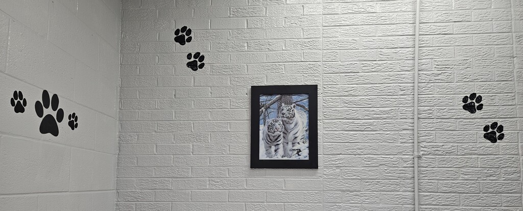 Photos inside Wirt County Primary Center showing new decorations added during the summer. Images include orange and black tiger paw prints painted on floors and walls, tiger-themed murals and artwork throughout the building, a "Choose K_nd" mural with the letter "i" intentionally omitted, and tiger images displayed in the cafeteria. The colorful decorations highlight Wirt County Tiger Pride and create an engaging environment for students returning for the new school year.