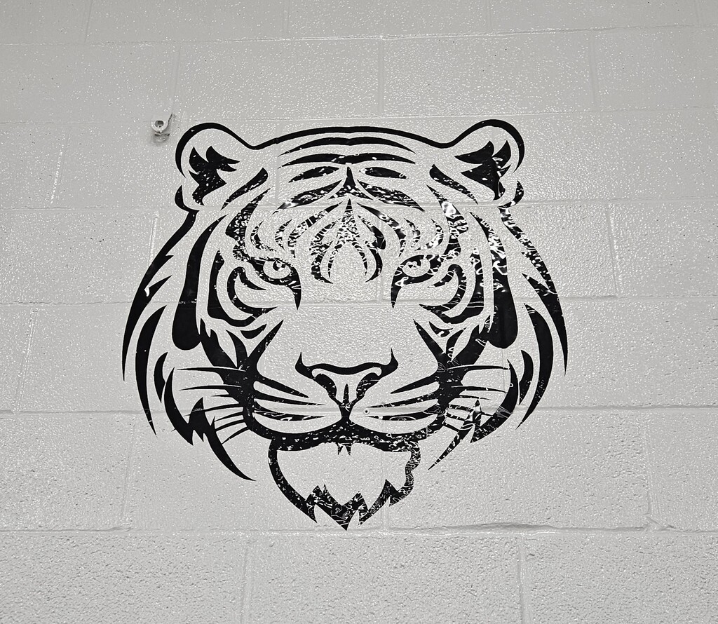 Photos inside Wirt County Primary Center showing new decorations added during the summer. Images include orange and black tiger paw prints painted on floors and walls, tiger-themed murals and artwork throughout the building, a "Choose K_nd" mural with the letter "i" intentionally omitted, and tiger images displayed in the cafeteria. The colorful decorations highlight Wirt County Tiger Pride and create an engaging environment for students returning for the new school year.