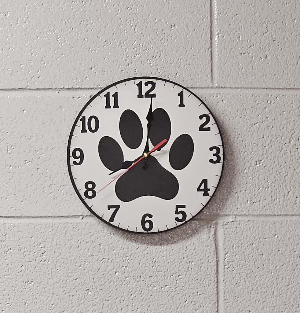 Photos inside Wirt County Primary Center showing new decorations added during the summer. Images include orange and black tiger paw prints painted on floors and walls, tiger-themed murals and artwork throughout the building, a "Choose K_nd" mural with the letter "i" intentionally omitted, and tiger images displayed in the cafeteria. The colorful decorations highlight Wirt County Tiger Pride and create an engaging environment for students returning for the new school year.