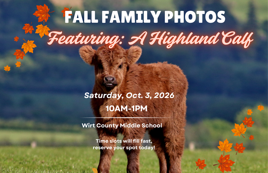 Fall Family Photos