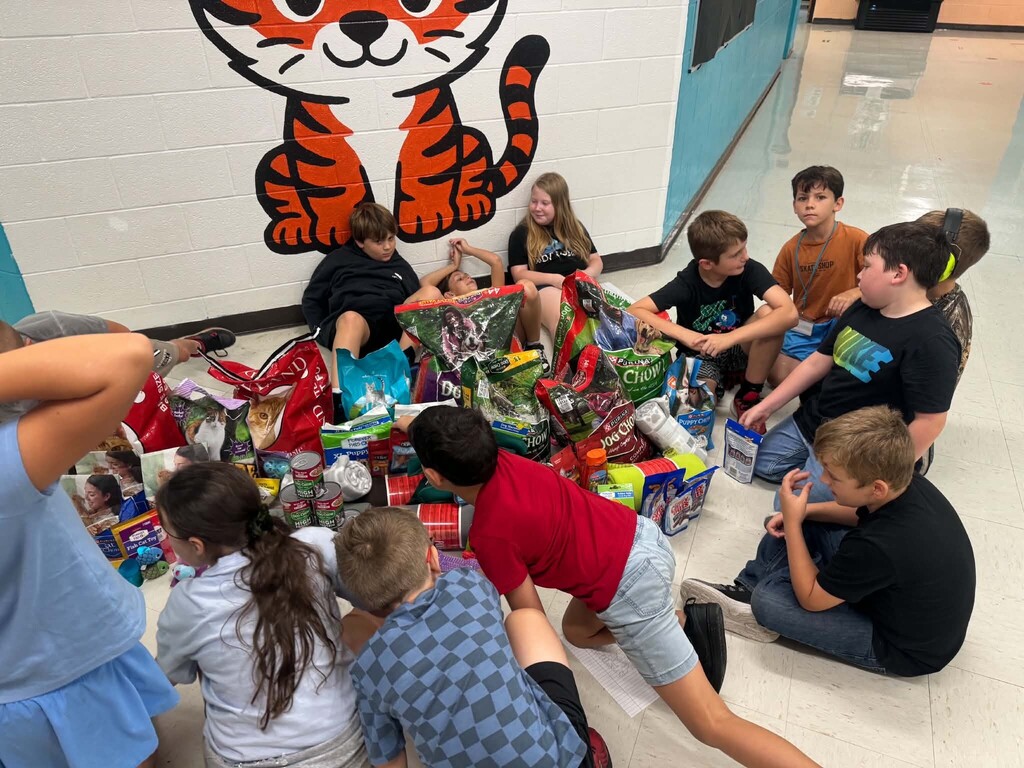 Mrs. Sims' class organizing dog and cat food along with treats and toys ub front of the tiger cub mural in the hallway.