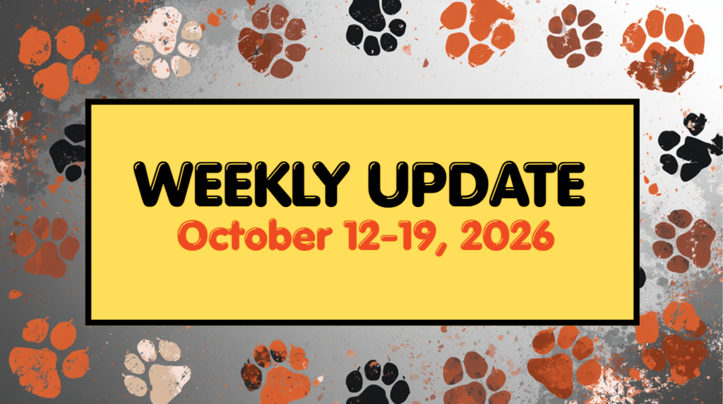 Weekly Update 10/12/26