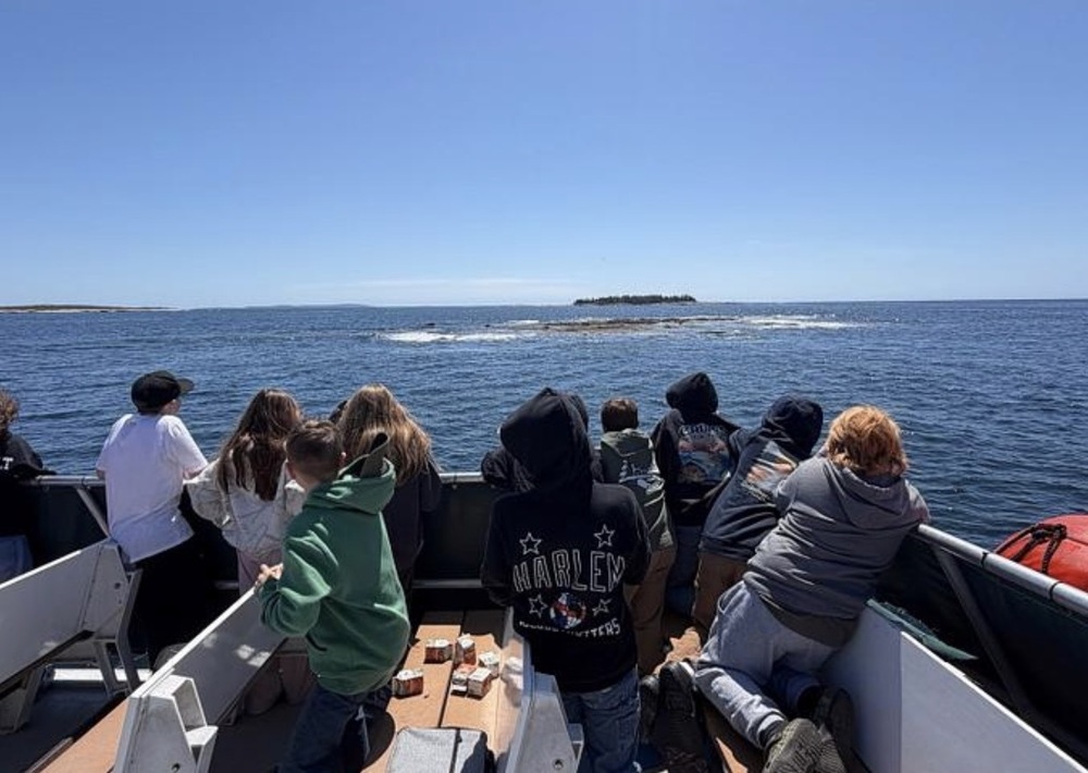 hardy boat cruise