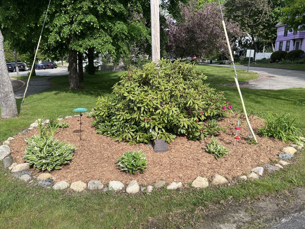 Alex Garden