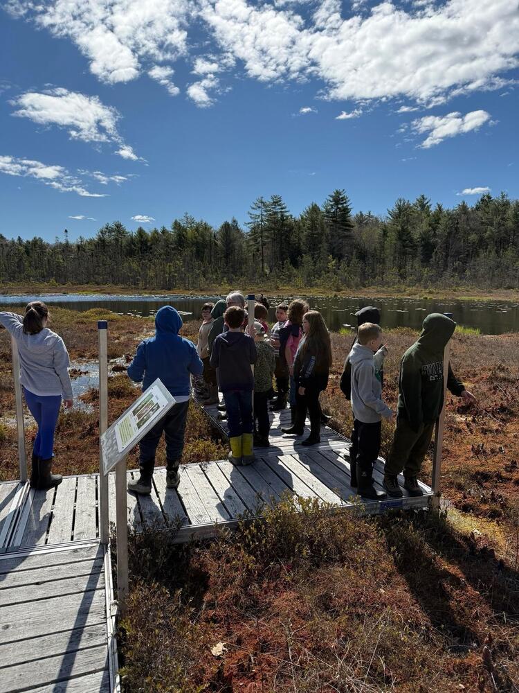 Bog Exploration trip