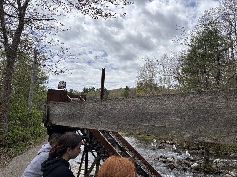 Alewives trip