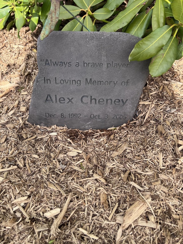 Alex Cheney