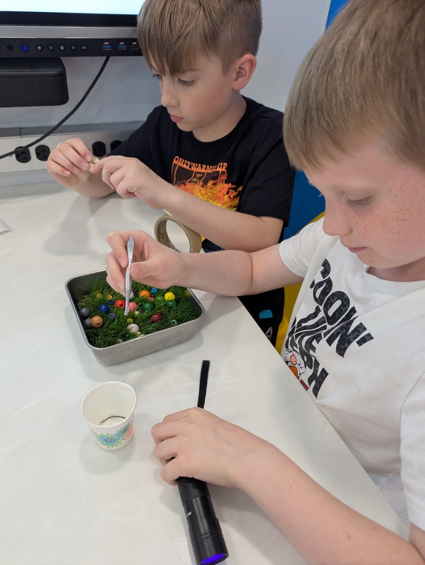 bio lab 3rd grade