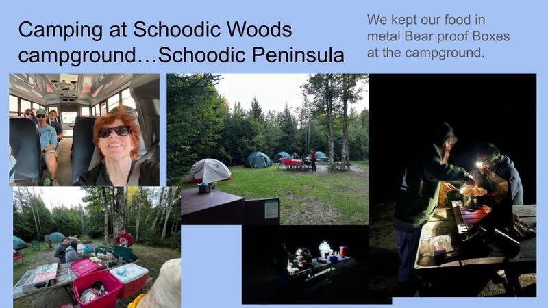 Schoodic woods camping