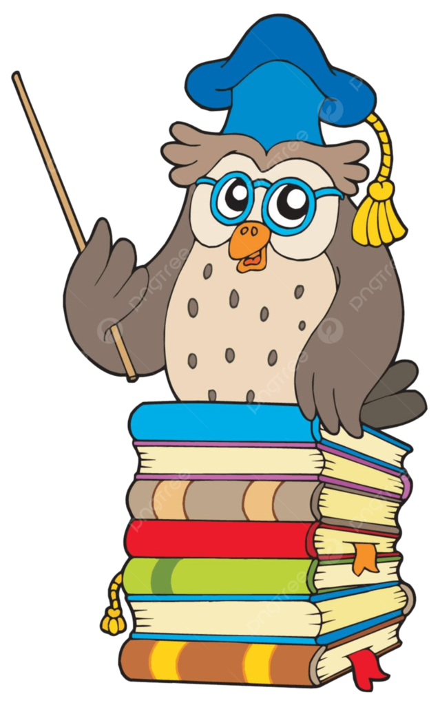 Wise Owl