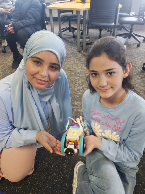 Waard and Lana's Robots