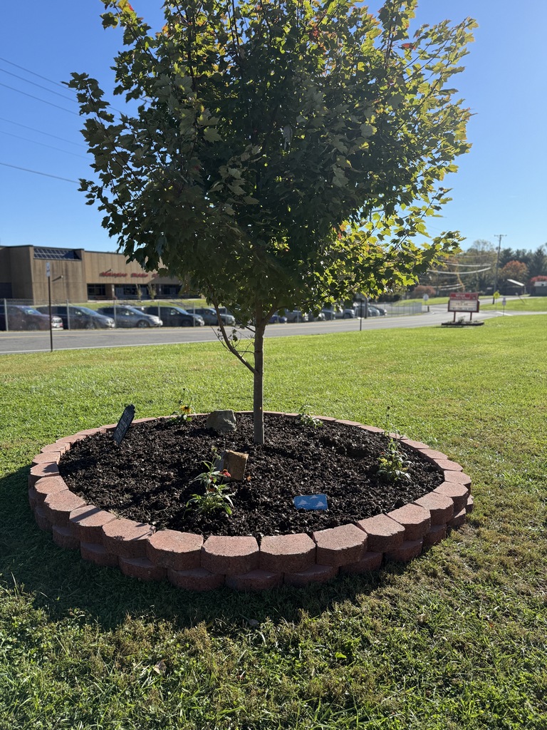 New mulch and flowers