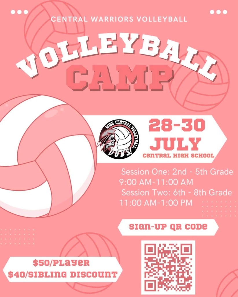 Volleyball Camp