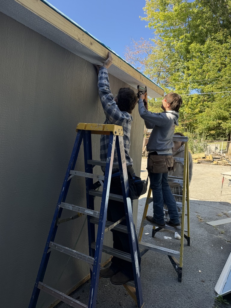 Two people, one with a tool, are on ladders near a wall, working on a structure.