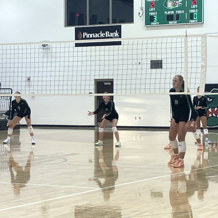 Gators take down Schuyler 