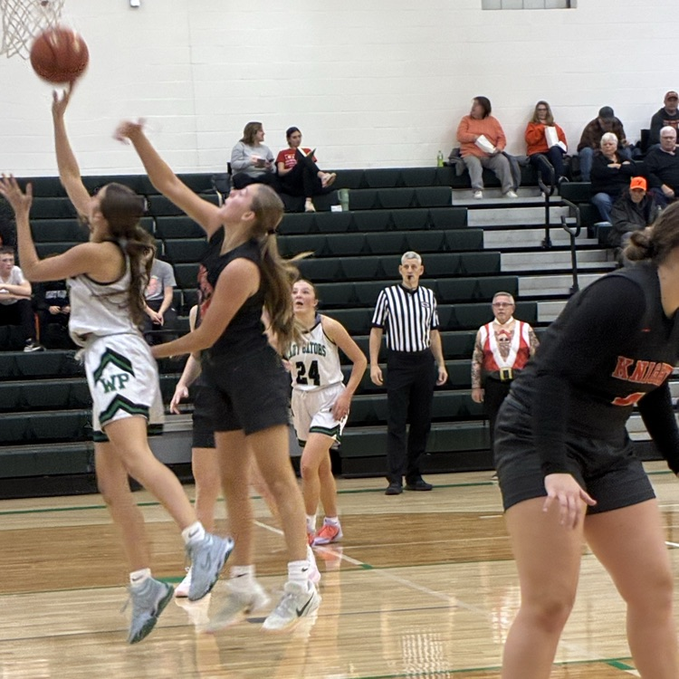 Gators fall to the Knights